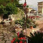 Ali * Piqeras