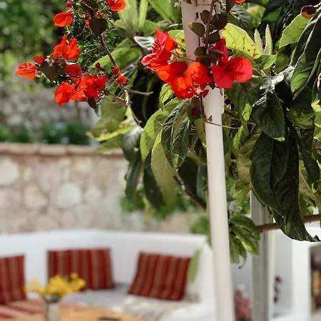 Ali Casa vacanze