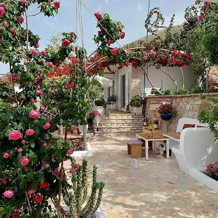 Ali Casa vacanze